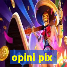 opini pix